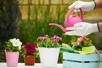 Hands in gloves with a shovel dig earth for planting cute flowers. spring garden work.
