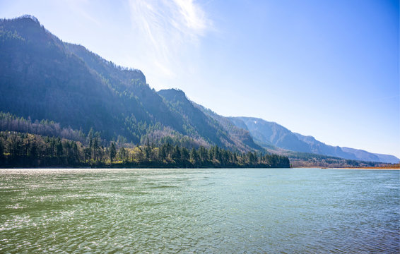 Columbia River landscape amid high mountain range overgrown with trees in Columbia Gorge