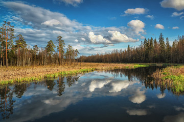 Russian spring landscape with reflections of trees in the lake