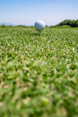 Golf Ball on tee at the teeing area. Golf course with a rich green turf beautiful scenery.