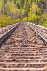 Obraz premium Railroad track between green trees leading to the horizon. Selective focus.