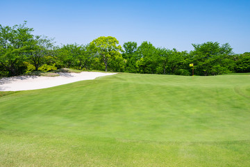 Fototapeta premium View of Golf Course with beautiful putting green. Golf course with a rich green turf beautiful scenery.