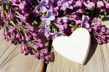 white heart and flowering  common lilac lying on wood  in springtime