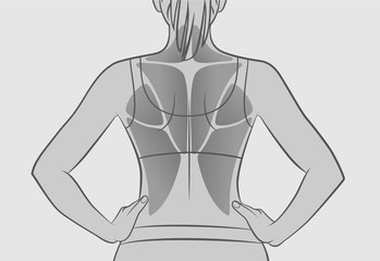 Exercises for the back muscles. The muscles of the back. Silhouette of a woman. Sport, workout, fitness, bodybuilding. Gray version.