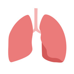 健康なピンク色の肺のイラスト。