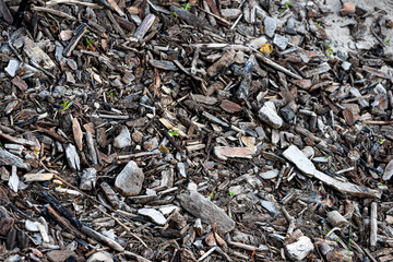 Wooden debris on the beach macro