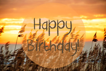 English Text Happy Birthday. Beach Grass At Sunrise Or Sunset In Background