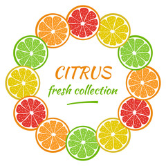 Round frame with sliced pieces of citrus fruit. Bright wreath of tropical fruits. Decoration for text. Stock vector illustration. Ideas for modern designs of banners, cards, menus, print, packaging.