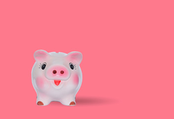 Finance, saving money, pink piggy bank on seamless pink background.