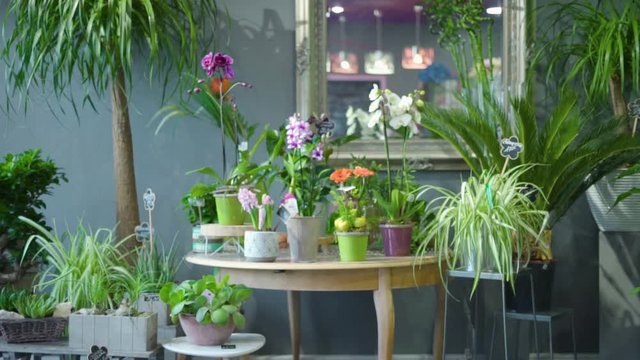 Fleuriste