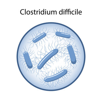 Clostridium difficile in magnifying glass. The causative agent of intestinal infection. Microbiology. Vector illustration in flat style isolated over white background