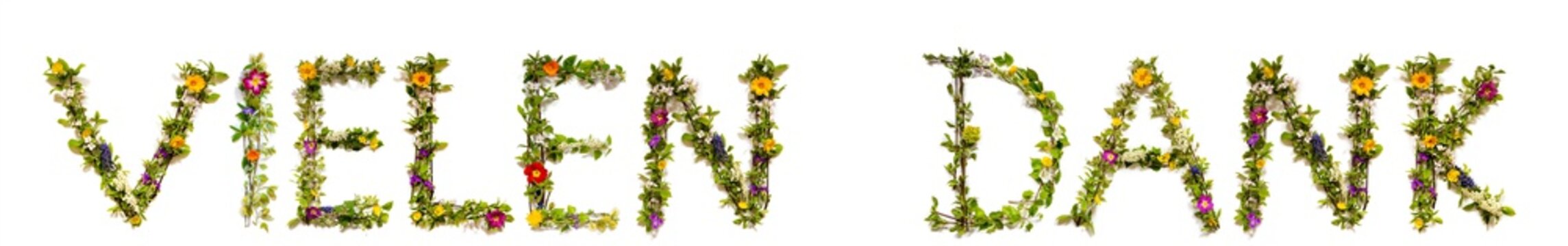 Dank Sign รูปภาพ