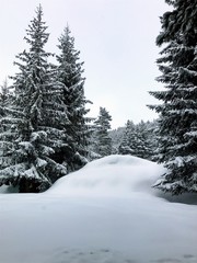 Winter in Rila Mountain in Bulgaria near to ski zone.