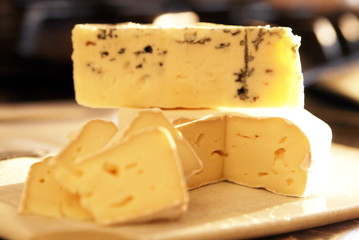 various cheeses with mold are lying on the kitchen table in the sunlight