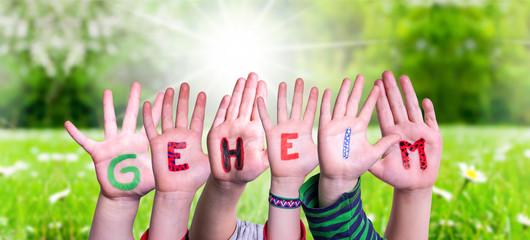 Children Hands Building Colorful German Word Geheim Means Secret. Sunny Green Grass Meadow As Background