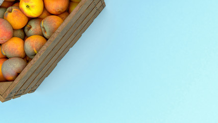 food and accessories