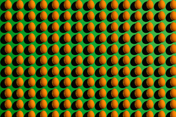 Orange chicken egg on a green background