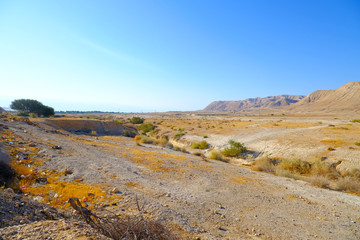 Judean desert