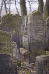 Jewish Tombs on Old Cementery, Silesia, Poland