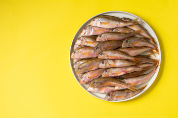 Black sea fish, red mullet in a white ceramic bowl on a yellow background. A lot of barabulka fish