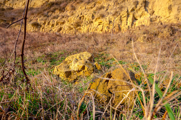 Fototapeta premium Erosion of rugged sandy cliffs