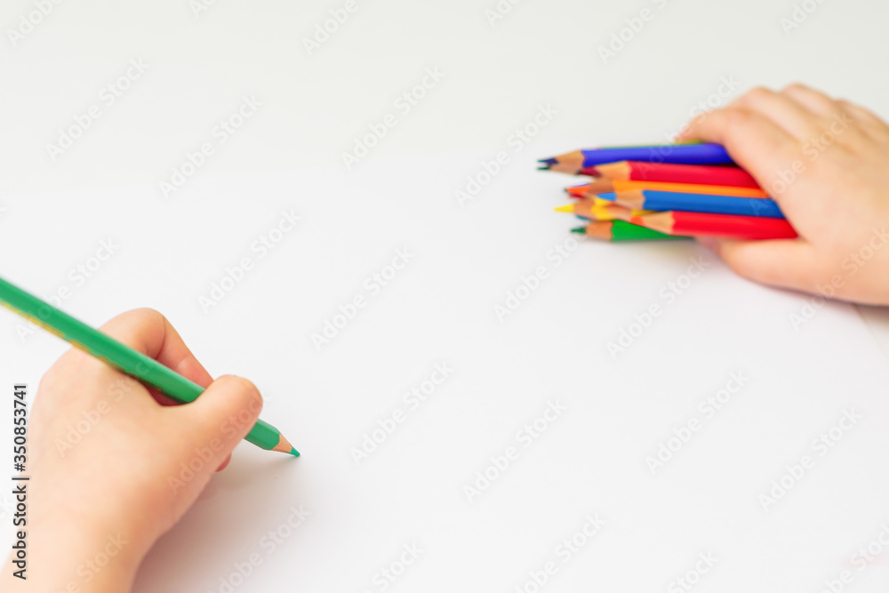 Wall mural kid girl is drawing by green pencil on white paper holding bunch of colored pencils in her hand. sel