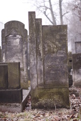 Fototapeta na wymiar Jewish Tombs on Old Cementery, Silesia, Poland