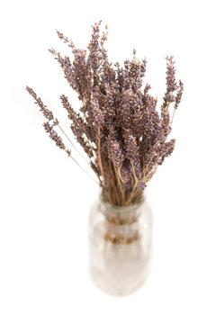 bundle of dry lavender in a clear glass jar on white background