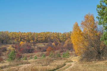 Fototapeta premium Landscape in the park overlooking the forest and trees near Feldman Ecopark