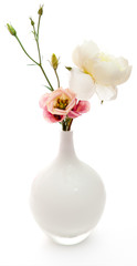 pink and white flowers in vase