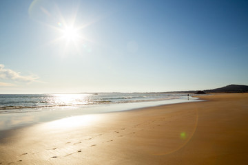 Fototapeta na wymiar Landscape of an atlantic beach in summer