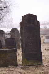 Fototapeta premium Old Jewish Cementary - Sielsia, Europe