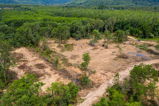 Aerial drone view of logging operatons and active deforestation of a tropical rainforest contributing to habitat destruction and man-made climate change