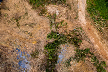 Aerial view of logging and deforestation of a tropical rainforest in rural Thailand