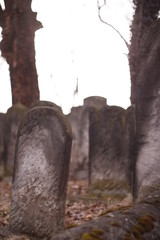 Old Jewish Cementary - Sielsia, Europe