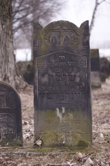 Old Jewish Cementary - Sielsia, Europe