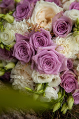 bouquet of violet and white roses