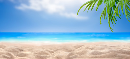 A summer vacation, holiday background of a tropical beach, blue sea, white clouds and green palm tree leaves.