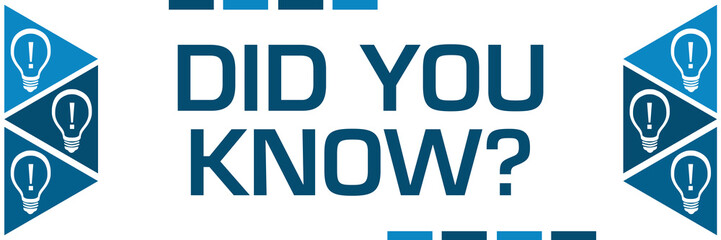 Did You Know Blue Triangles Both Sides Bulbs 