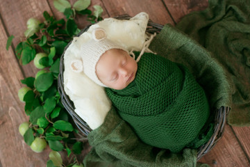 Little cute baby sleeps in a wicker basket of vines decorated with green palm leaves in a green blanket. Happy childhood