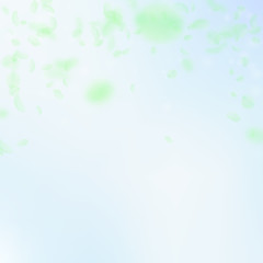 Green flower petals falling down. Incredible roman