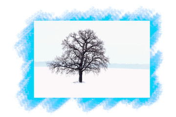Beautiful lonely tree in winterwithout leaves against sky and winter white snow / 2 tree of 4 trees from the collection "The seasons. Four seasons."