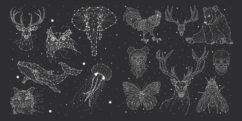 Constellations deer, bison, elephant, rhinoceros, crab, elephant, octopus, vector © chikovnaya