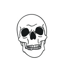 Hand drawn illustration skull.Vector art drawing