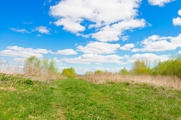 Summer landscape with green and dry grass and a blue sky with clouds