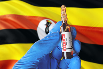 Uganda flag with Coronavirus Covid-19 concept. Doctor with blue protection medical gloves holds a...