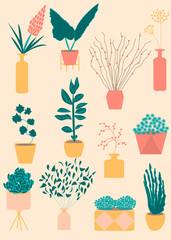 Various kind of indoor houseplants growing in pots, home decorations flora decor. Flat design style vector illustration set. Growth of plants isolated on white, made in pastel colors