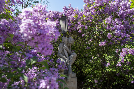 Faun, satyr, Pan, Łazienki Kr&oacute;lewskie