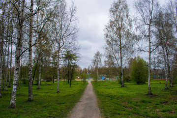 spring in town