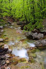 Naklejka na ściany i meble Rapids and waterfalls in Paklenica National Park, Croatia